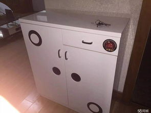 纺科路四厂振兴区双气家具家电拎包可租，便捷生活尽在掌握